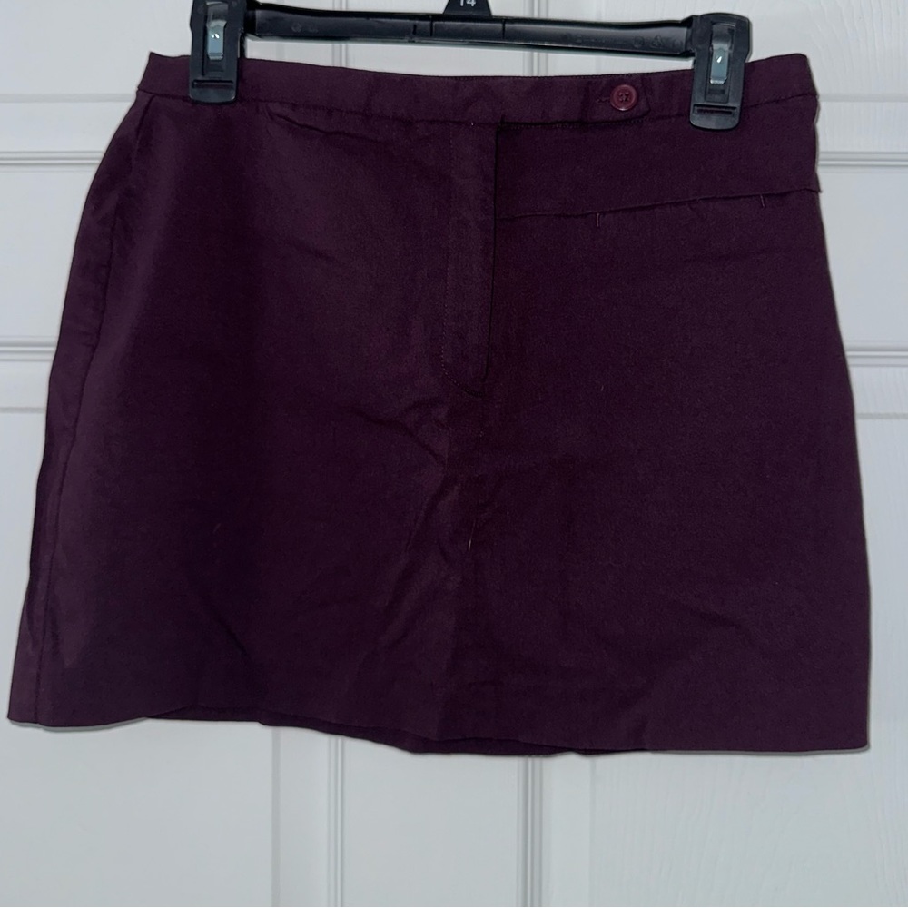 Express plum skirt